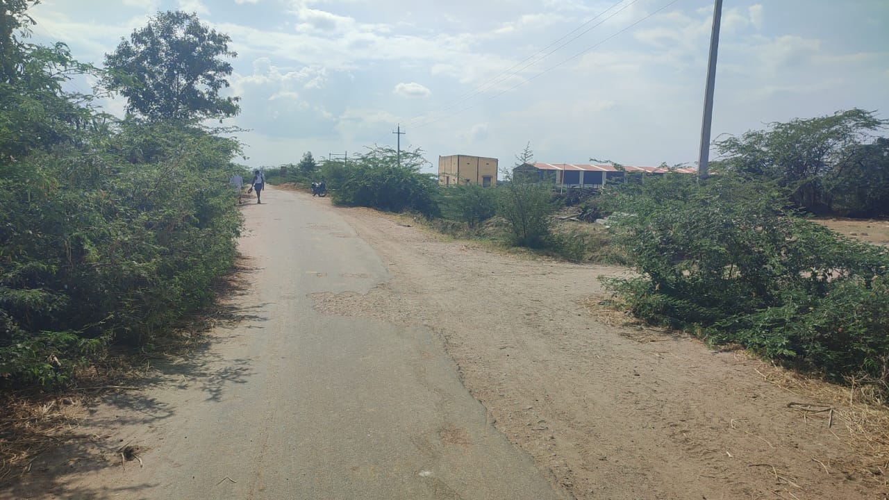 Black Soil Land