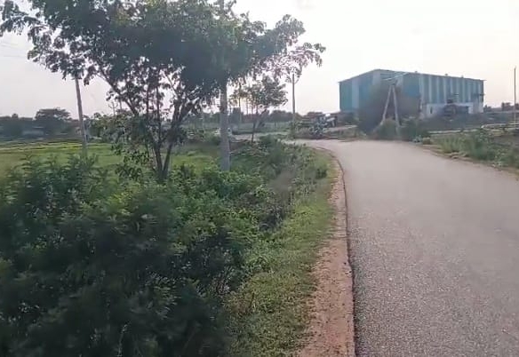 12 Acres BT Road Facing