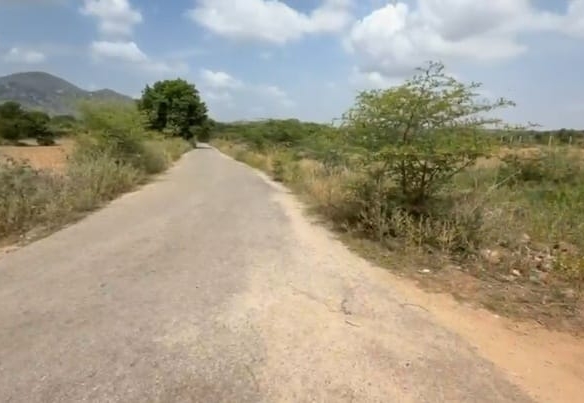 Red Soil Agricultural Land