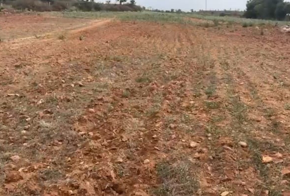 18 Acres Red Soil Land