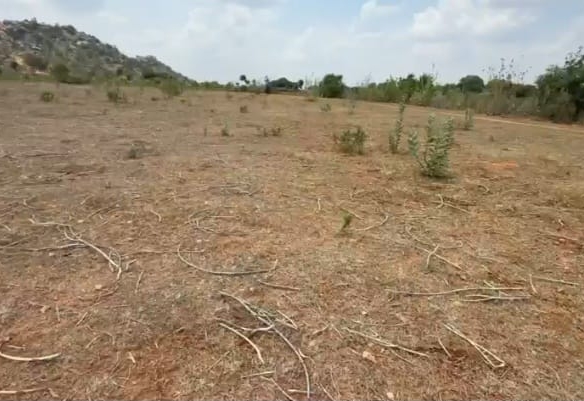 1.50 Acres Red soil land
