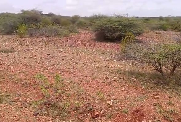 red soil agriculture land