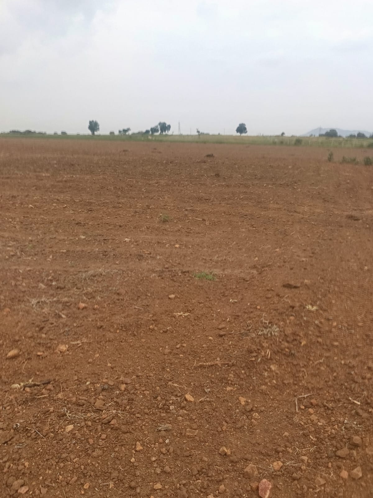 33 Acres Red soil Land