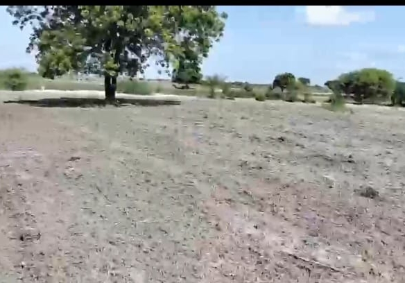 50 Acres Black Soil Land