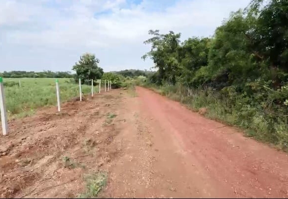Red soil Agriculture land