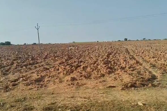 10 Acres Black Soil Agriculture Land for Sale Near Viswanathpuram, Yelal Mandal, Vikarabad | BX-26186 | ₹15 Lakhs/Acre agriculture land for sale