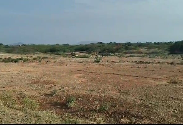 20 Acres Red Soil Agriculture Land