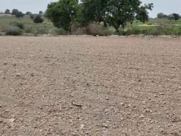 7 Acres Agriculture Land