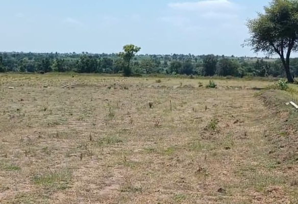 Mixed Soil Agriculture Land