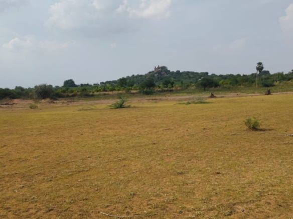 Mixed Soil Agriculture Land