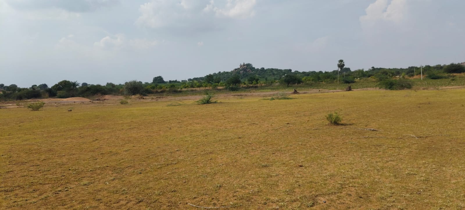Mixed Soil Agriculture Land