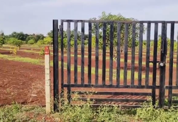 3 Acres Mango Trees Garden Land