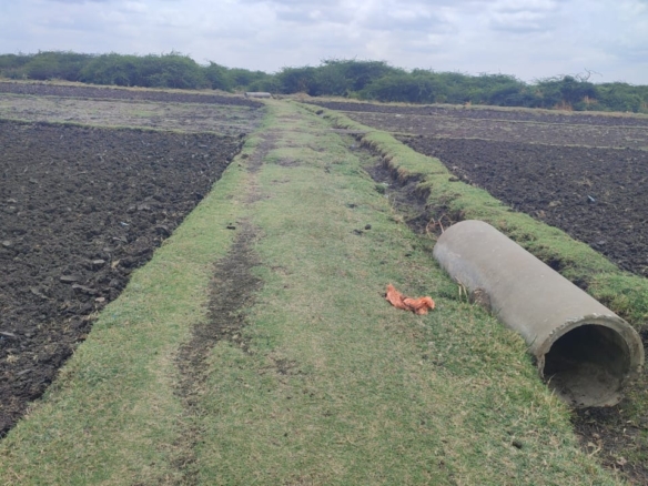 4.20 Acres Black Soil Agriculture Land