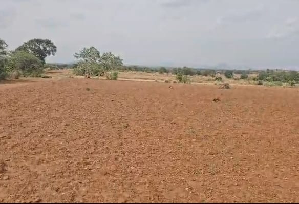 3000 Acres Red Soil Agriculture Land