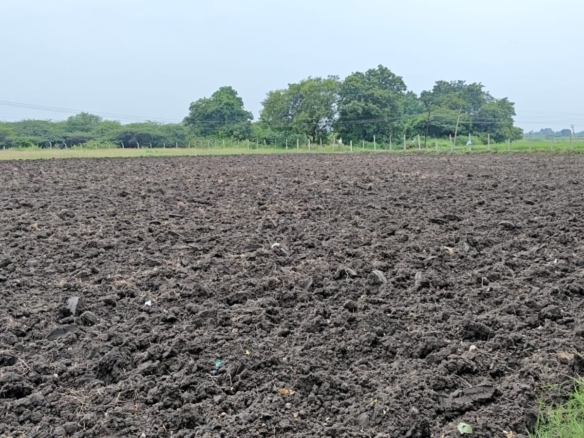 NH 161 2nd Bit Black Soil Land