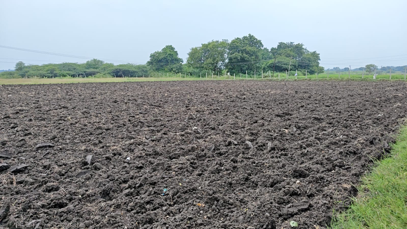 NH 161 2nd Bit Black Soil Land
