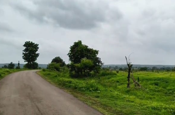 Bt road facing black soil land