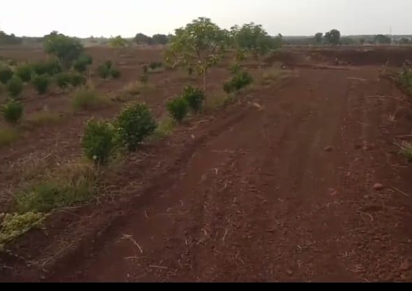 3 Acres Red Soil Garden Land