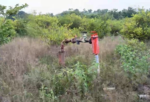 2 Acres 30 Guntas Red Soil Mango Garden Land
