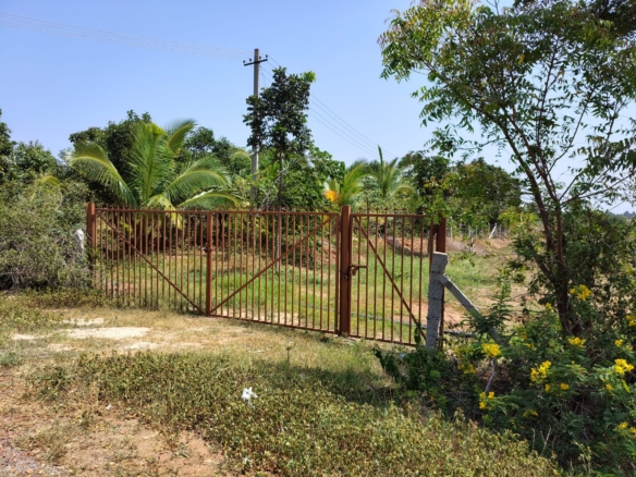 3.83 Acres Red Soil Garden Land