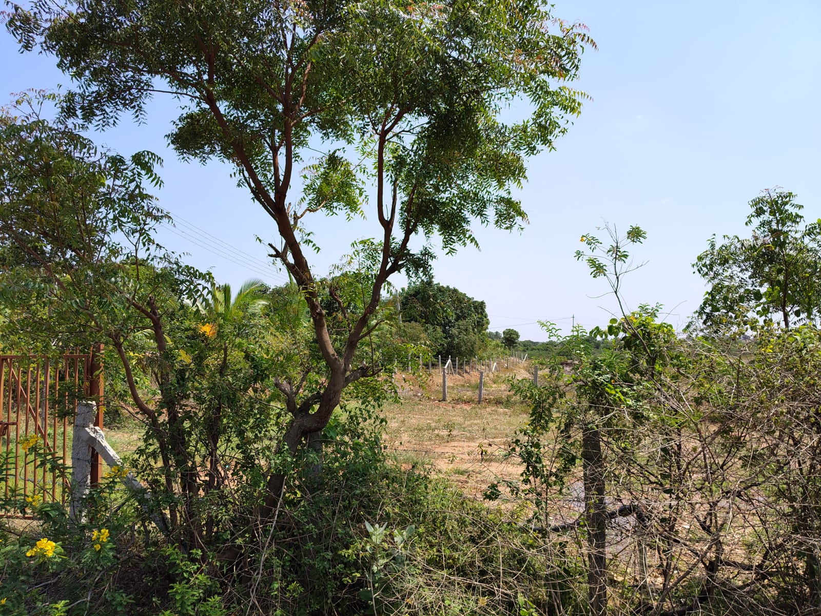 3.83 Acres Red Soil Garden Land for Sale State Highway Facing in Harapanahalli Taluk, Vijayanagara District, Karnataka | ₹35 Lakhs per Acre | BHOOVIX BX-32574