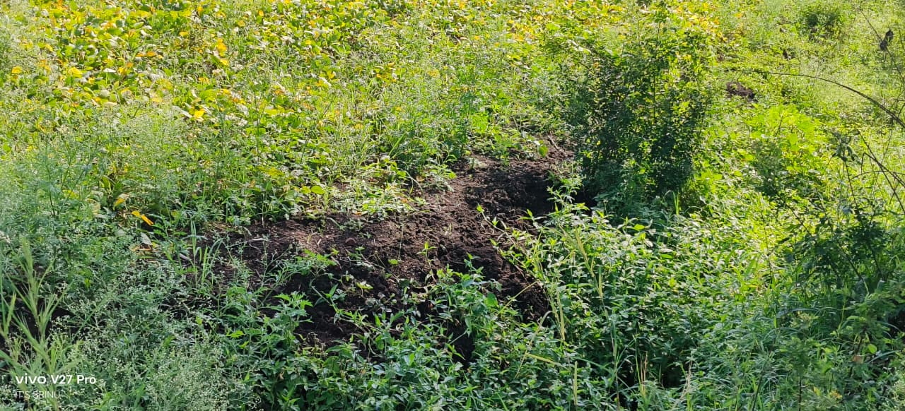 1 Acre Black Soil Land, Matti road bit for Sale in Telangana, Sangareddy District, Kohir Mandal, Telangana | ₹55 Lakhs/Acre | BHOOVIX BX-32563