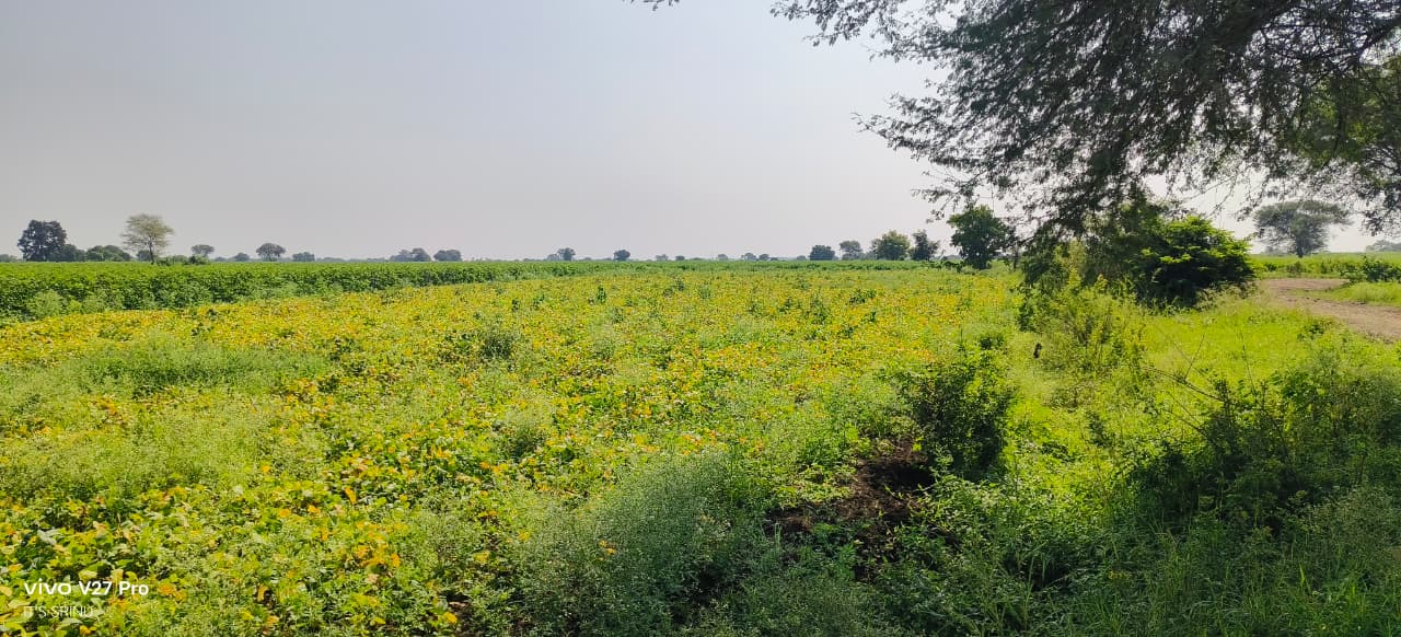 1 Acre Black Soil Land, Matti road bit for Sale in Telangana, Sangareddy District, Kohir Mandal, Telangana | ₹55 Lakhs/Acre | BHOOVIX BX-32563