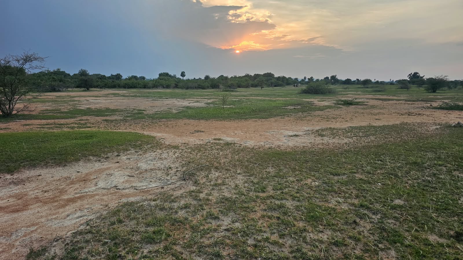 5 Acres Red Soil Land