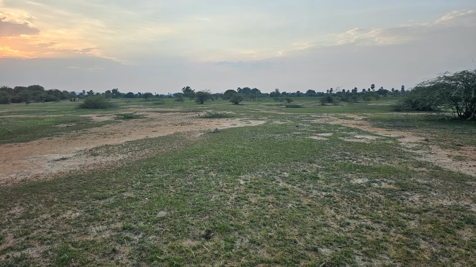 ₹3 Lakhs per Acre | 5 Acres Red Soil Land for Sale in Devanakonda, Kurnool district, Andhra Pradesh | Groundwater | BHOOVIX BX-32676