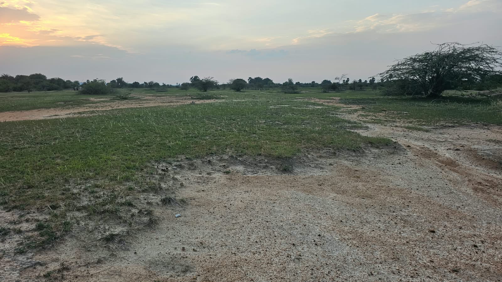 ₹3 Lakhs per Acre | 5 Acres Red Soil Land for Sale in Devanakonda, Kurnool district, Andhra Pradesh | Groundwater | BHOOVIX BX-32676