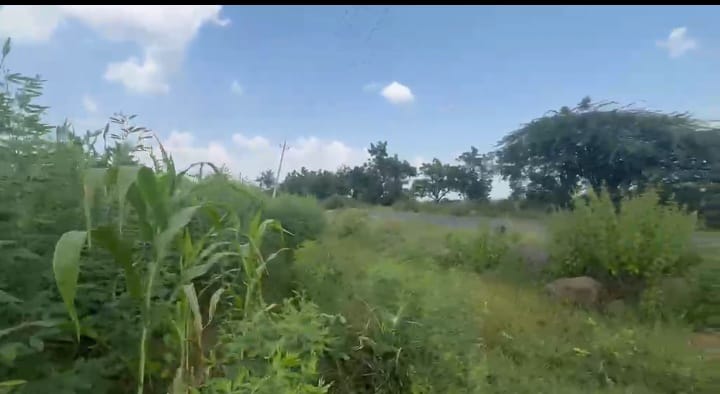 7 Acres Black Soil Land State highway facing for Sale in Kalagi Taluk, Kalaburagi District, Karnataka | ₹16 Lakhs per Acre | BHOOVIX BX-32633