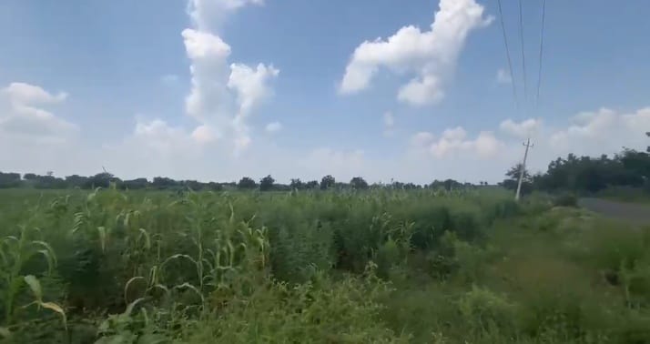7 Acres Black Soil Land State highway facing for Sale in Kalagi Taluk, Kalaburagi District, Karnataka | ₹16 Lakhs per Acre | BHOOVIX BX-32633