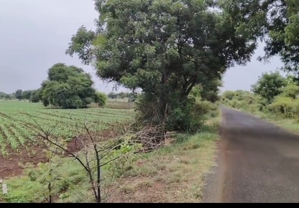 BT Road Facing Mixed Soil Land