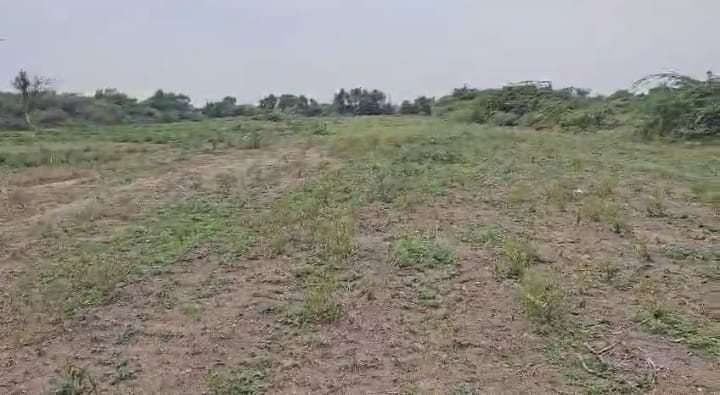 ₹6 Lakhs per Acre | 4.85 Acres Black Soil Land for Sale in Chippagiri, Kurnool, Andhra Pradesh | Tungabhadra Canal Water | BHOOVIX BX-32661