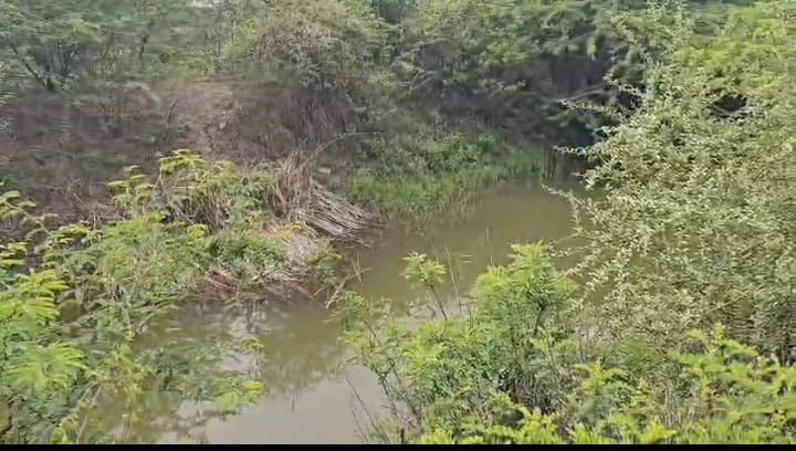 ₹6 Lakhs per Acre | 4.85 Acres Black Soil Land for Sale in Chippagiri, Kurnool, Andhra Pradesh | Tungabhadra Canal Water | BHOOVIX BX-32661