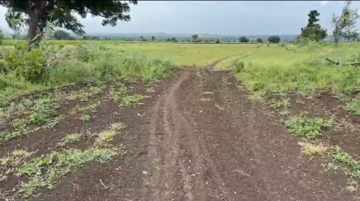₹7.50 Lakhs/Acre | 4 Acres Black Soil Agriculture Land for Sale in Kalagi Taluk, Kalaburagi District, Karnataka |  BHOOVIX BX-32695