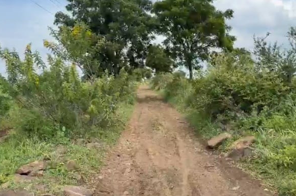 4 Acres Black Soil Agriculture Land