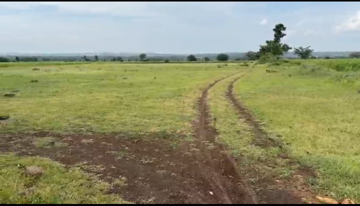₹7.50 Lakhs/Acre | 4 Acres Black Soil Agriculture Land for Sale in Kalagi Taluk, Kalaburagi District, Karnataka |  BHOOVIX BX-32695