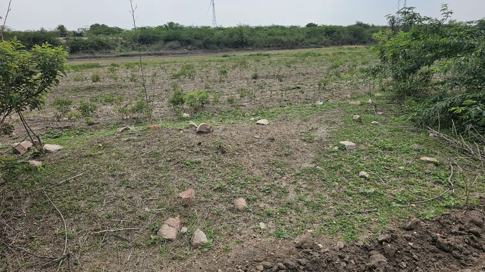 ₹6 Lakhs per Acre | 4.85 Acres Black Soil Land for Sale in Chippagiri, Kurnool, Andhra Pradesh | Tungabhadra Canal Water | BHOOVIX BX-32661