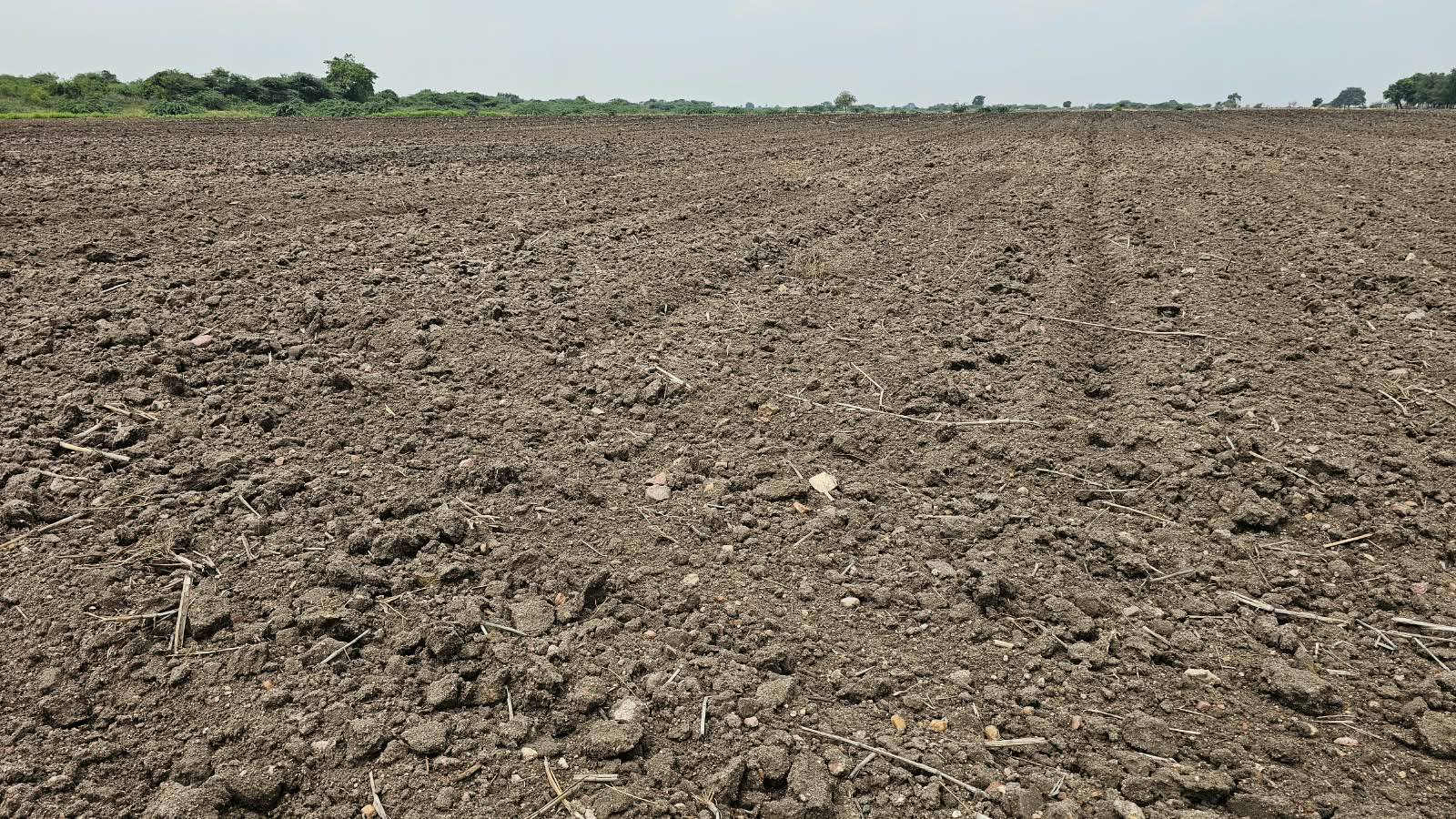 ₹6 Lakhs per Acre | 4.85 Acres Black Soil Land for Sale in Chippagiri, Kurnool, Andhra Pradesh | Tungabhadra Canal Water | BHOOVIX BX-32661