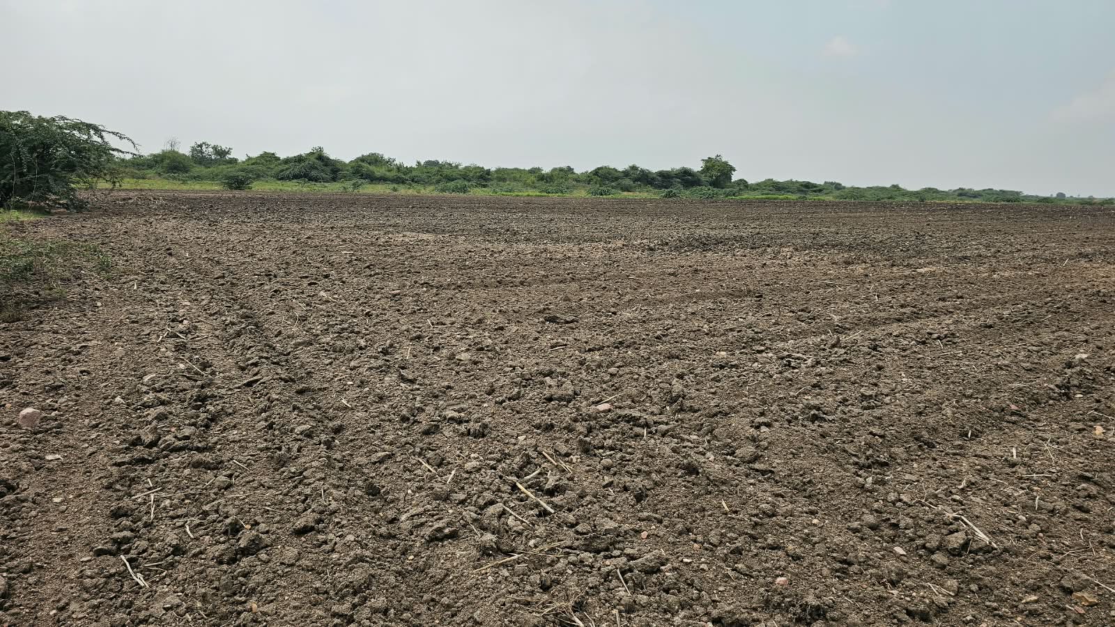 ₹6 Lakhs per Acre | 4.85 Acres Black Soil Land for Sale in Chippagiri, Kurnool, Andhra Pradesh | Tungabhadra Canal Water | BHOOVIX BX-32661