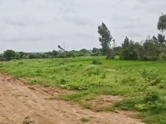 1 Acre Red Soil Agriculture Land