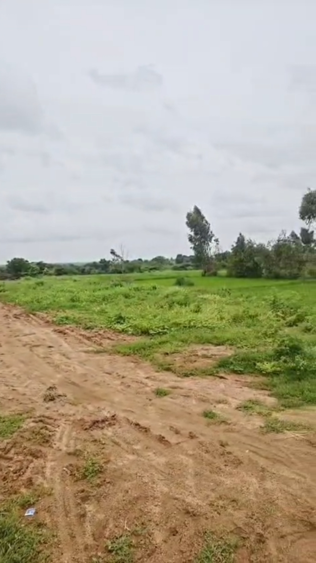 1 Acre Red Soil Agriculture Land