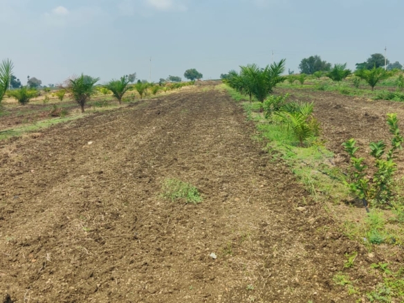 Integrated Farm Land