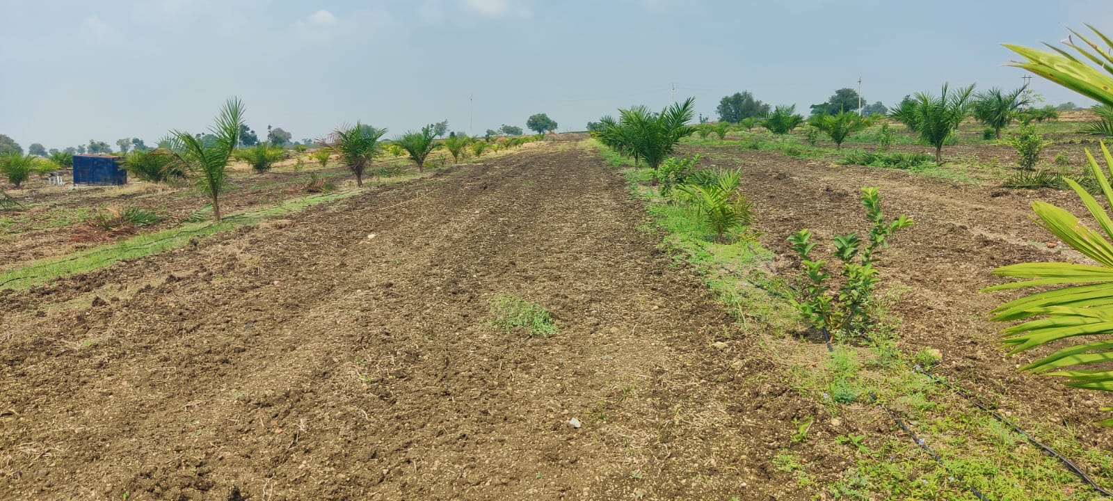 Integrated Farm Land