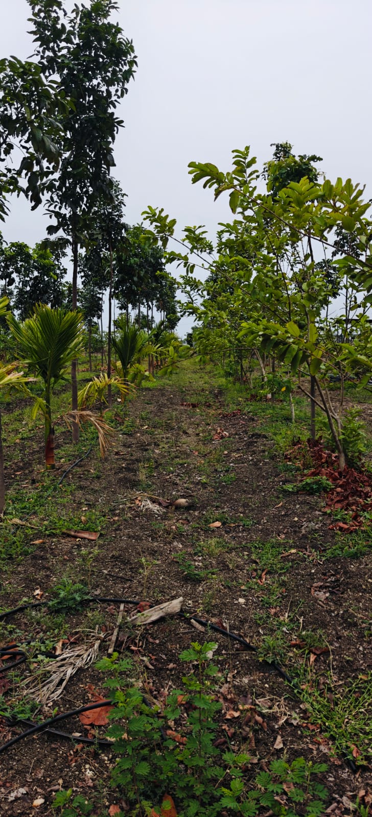 10 Acres 10 Guntas Premium Integrated Farm Land for Sale at ₹80 Lakhs Per Acre in Gadag District, Karnataka | BHOOVIX BX-33881