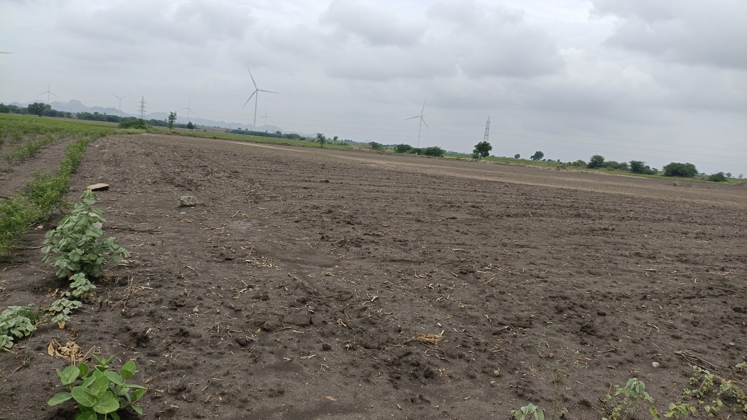 9.30 Acres Black Soil Agriculture Land for Sale at ₹12 Lakhs Per Acre in Alur Mandal, Kurnool District, Andhra Pradesh | BHOOVIX BX-33984