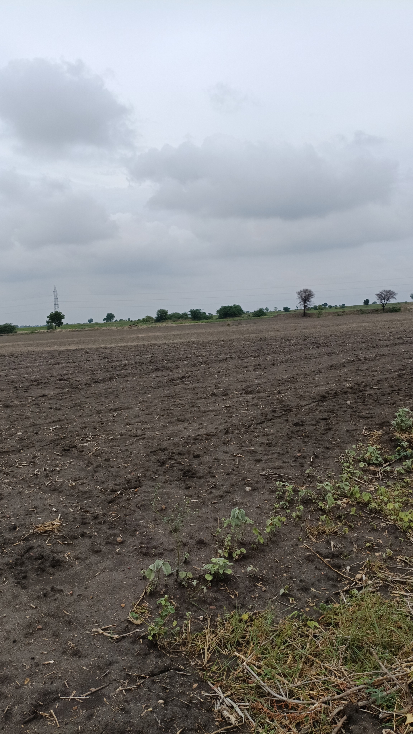 9.30 Acres Black Soil Agriculture Land for Sale at ₹12 Lakhs Per Acre in Alur Mandal, Kurnool District, Andhra Pradesh | BHOOVIX BX-33984