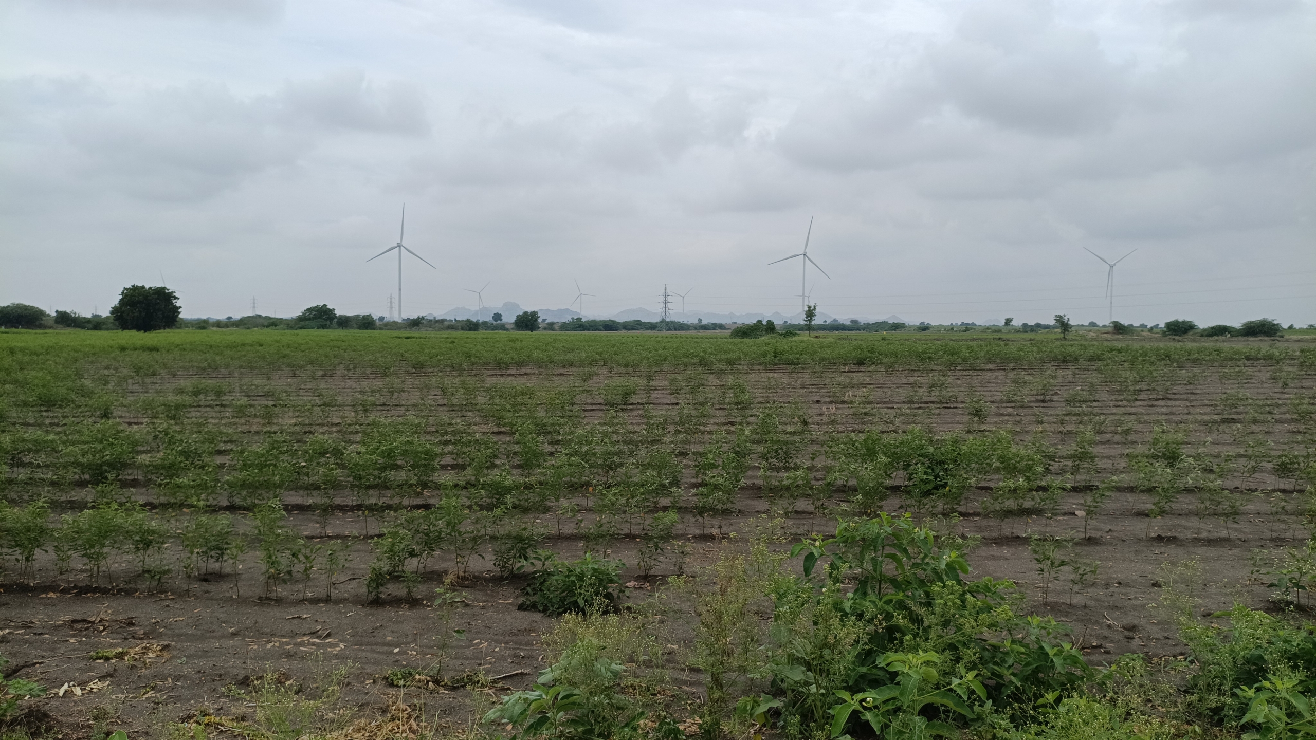 9.30 Acres Black Soil Agriculture Land for Sale at ₹12 Lakhs Per Acre in Alur Mandal, Kurnool District, Andhra Pradesh | BHOOVIX BX-33984