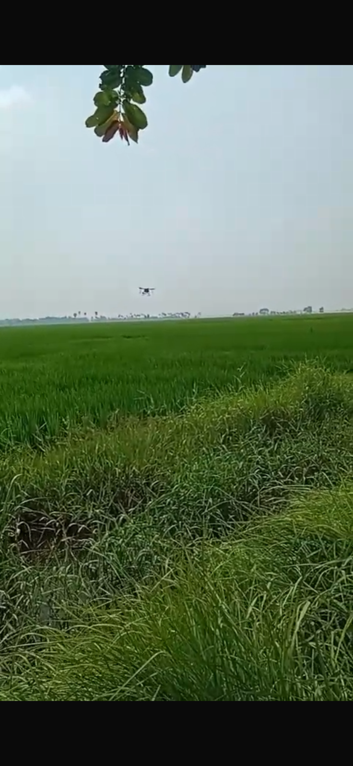 1.89 Acre Black Soil Agriculture Land for Sale in Amruthalur Mandal, Bapatla District, Andhra Pradesh | ₹32 Lakhs/Acre | BHOOVIX BX-32886
